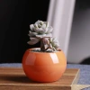 Succulent flowerpots, breathable coarse earthenware small potted green plants, small-diameter personalized ceramic POTS Specification image